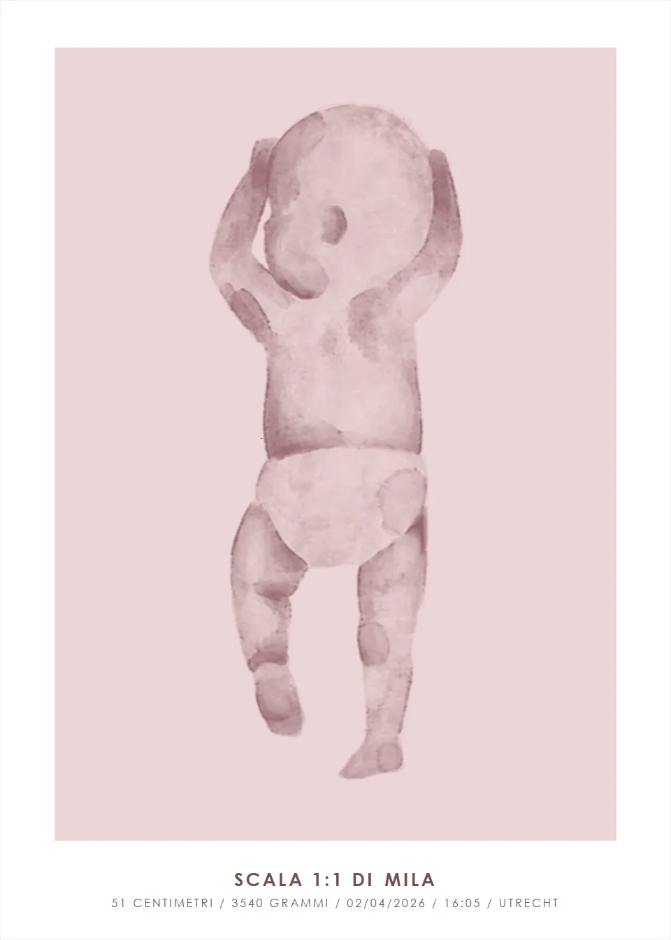 Grandezza naturale · Acquerello sognante · Rosa cipria