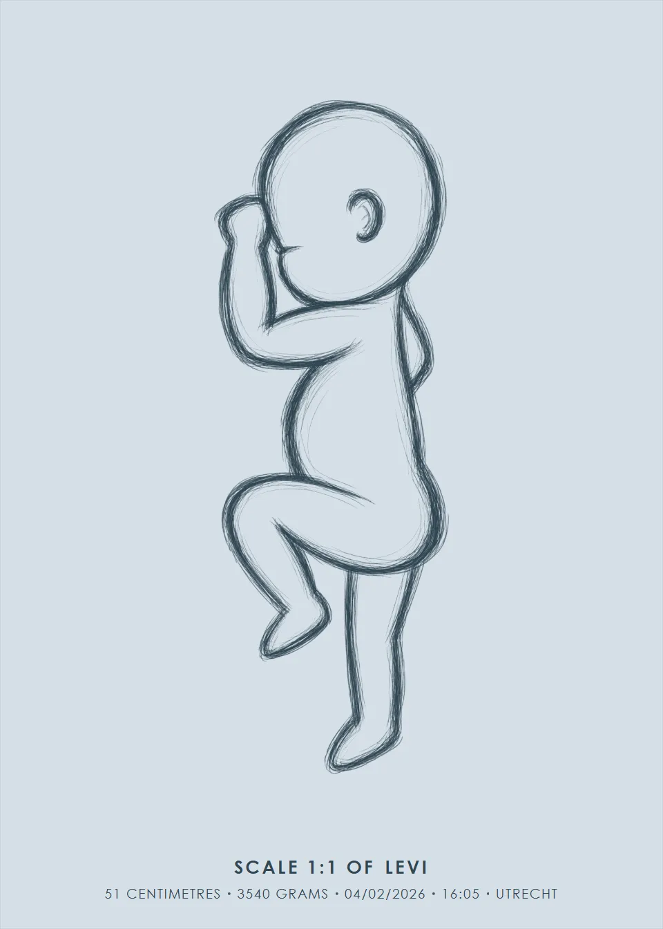 Life size · Pencil · Mist blue