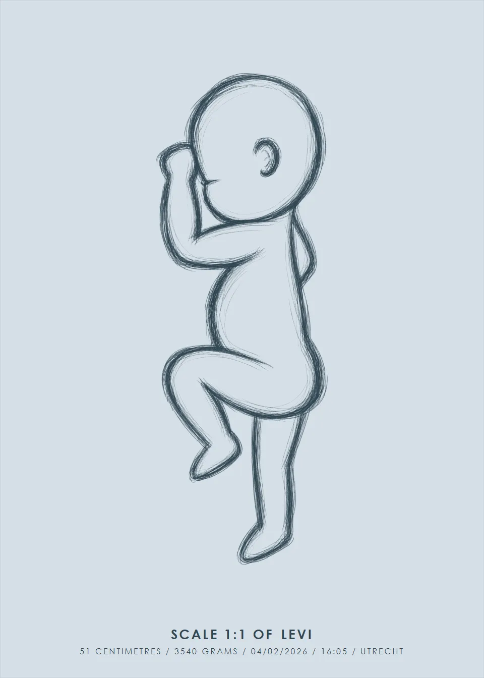 Life size · Pencil · Mist blue